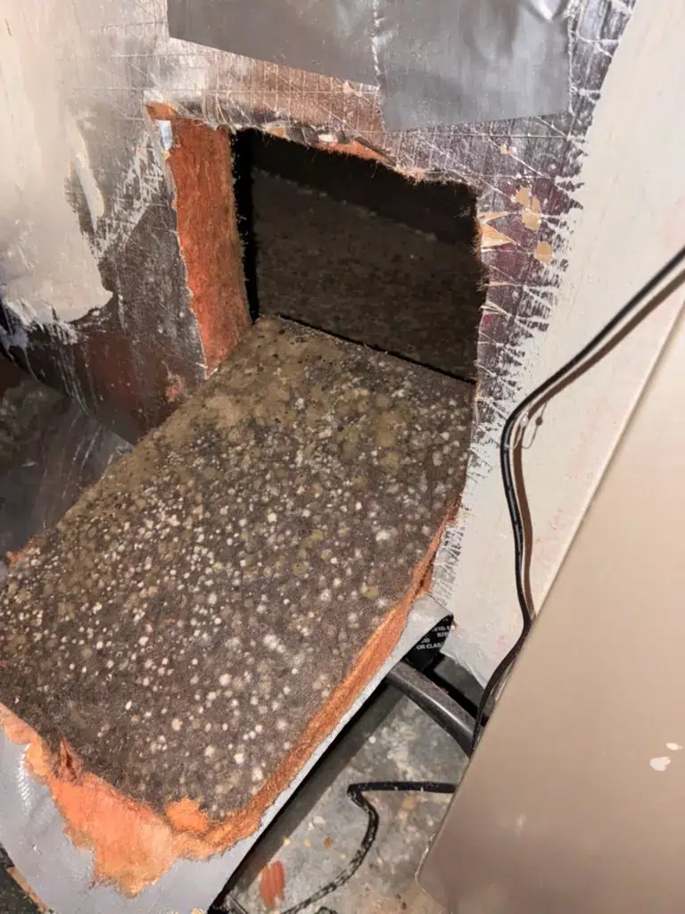Mold growth on duct board inside an HVAC supply plenum in a San Antonio home