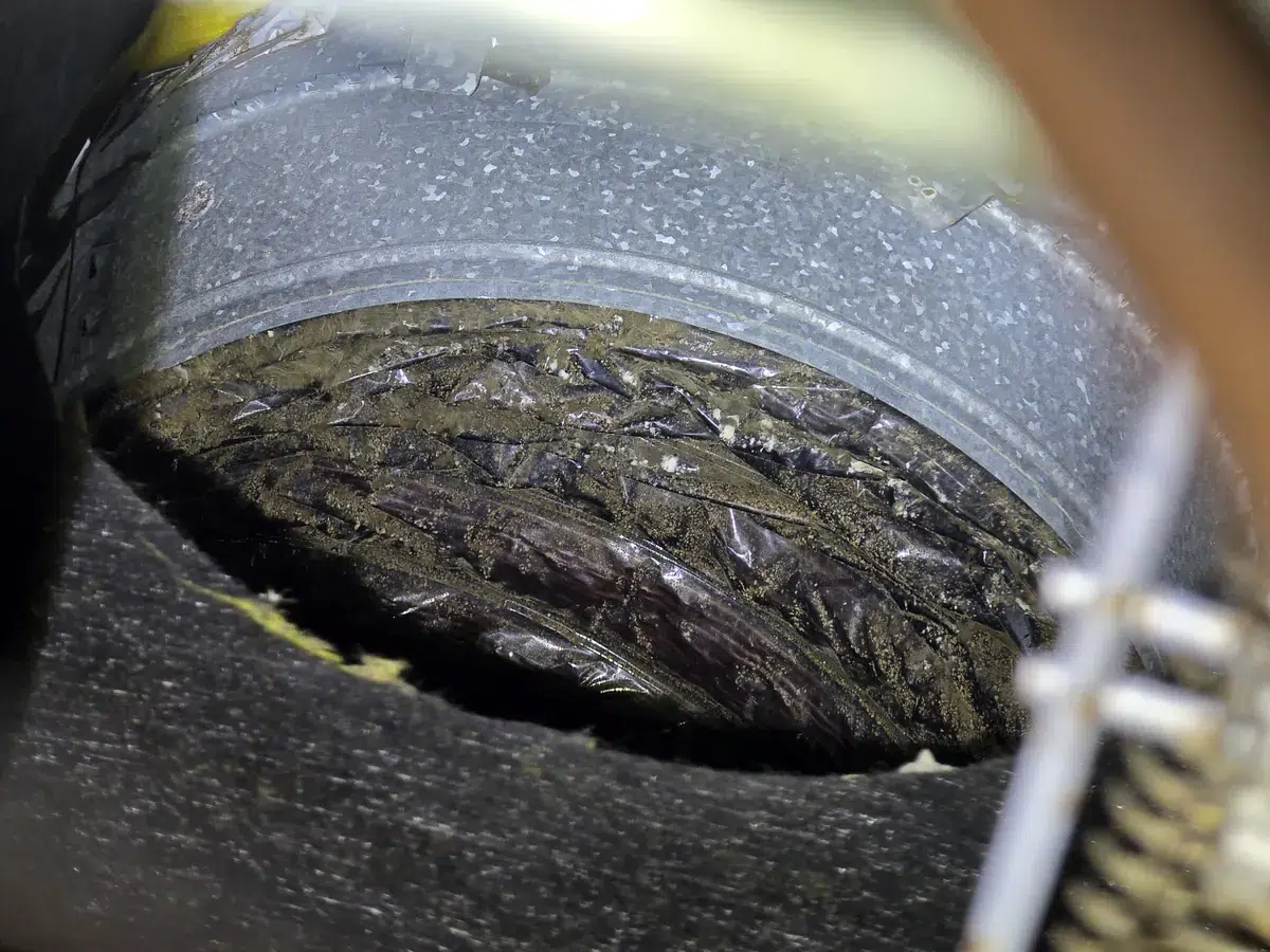 Flex duct connection with mold and debris buildup inside